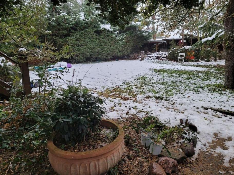 Gaestewohnung " Am Harsdorf " Μαγδεβούργο Εξωτερικό φωτογραφία